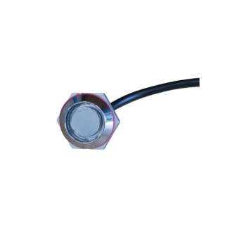 iButton Reader 1-Wire