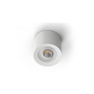 LED Ceiling Spot WW White