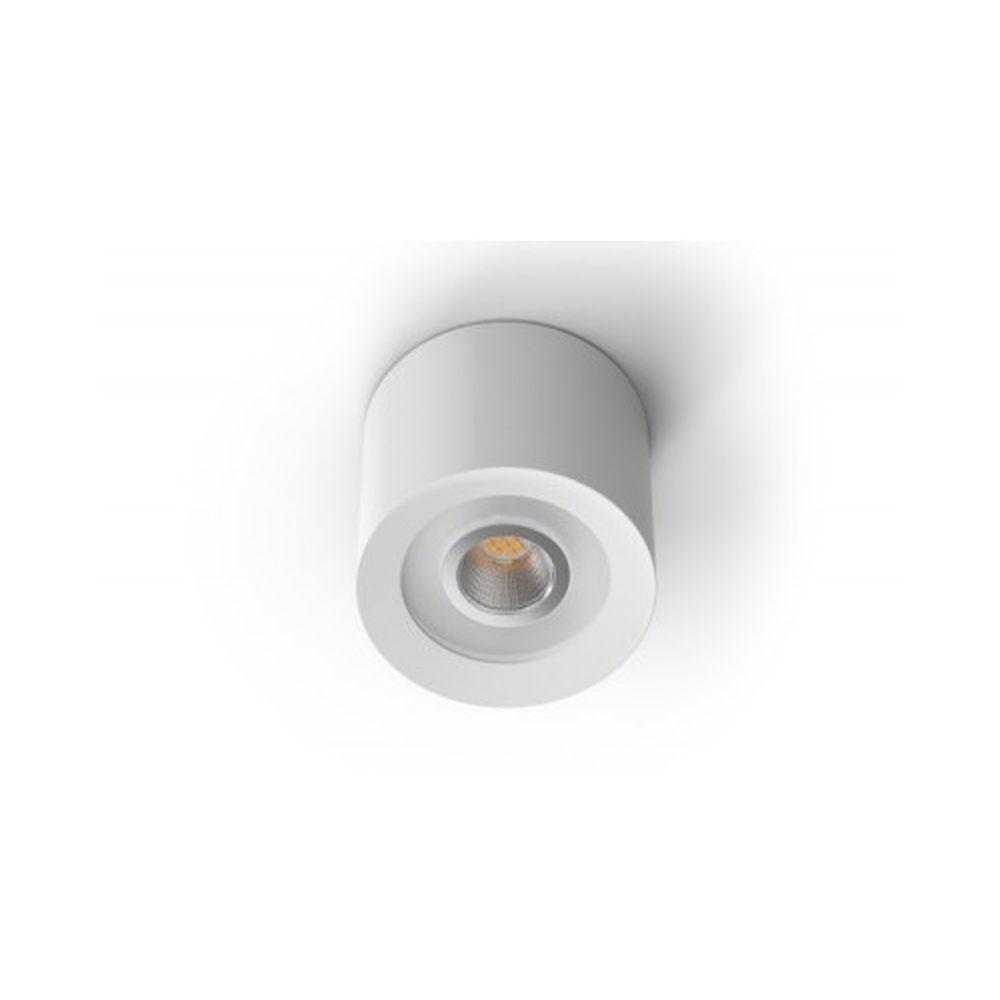 LED Ceiling Spot WW White